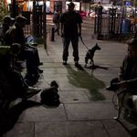 Dog owners gather in a lower Manhattan alley for their dogs to kill rats